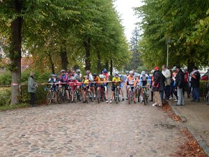 Dassow Cross-Cup 086